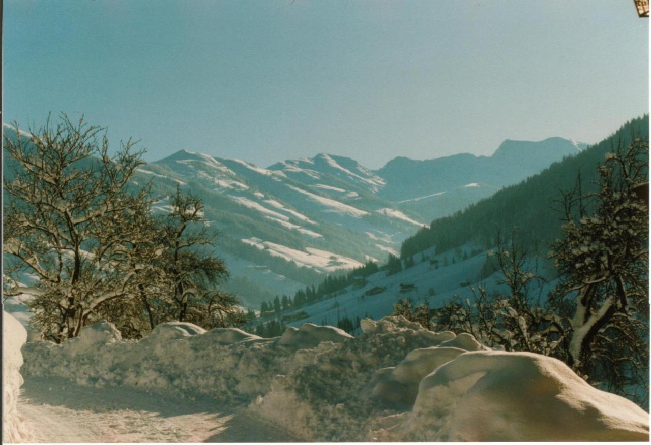 Gruberhof Villa Reith im Alpbachtal Dış mekan fotoğraf